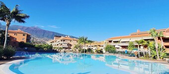 Retama del Teide, Puerto de la Cruz