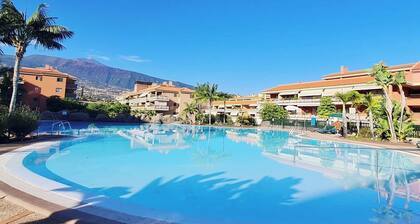 Retama del Teide, Puerto de la Cruz