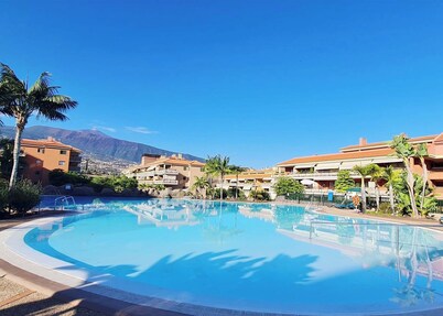 Retama del Teide, Puerto de la Cruz