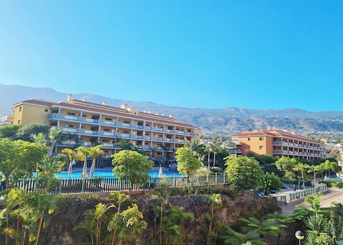 Retama del Teide, Puerto de la Cruz