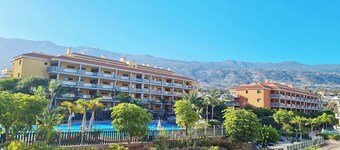 Retama del Teide, Puerto de la Cruz