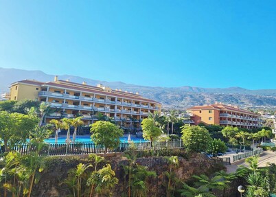 Retama del Teide, Puerto de la Cruz