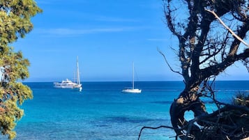Playa en los alrededores