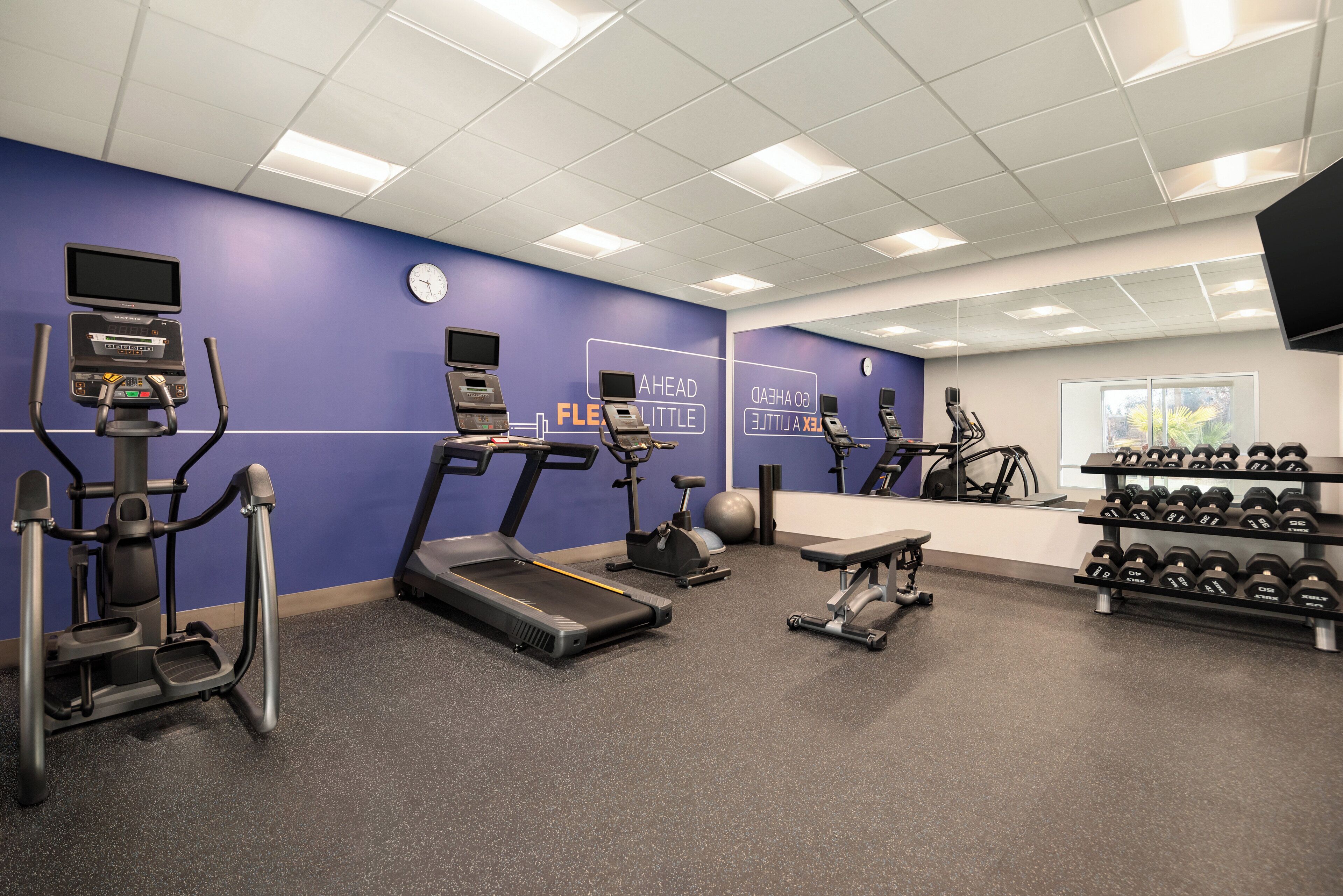 A gym with treadmills, elliptical machines, a stationary bike, and a bench.