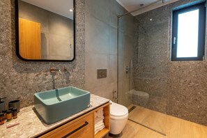 Combined shower/tub, hair dryer, towels, soap