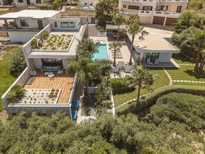 A modern house with a rooftop garden, a swimming pool, and a patio area.