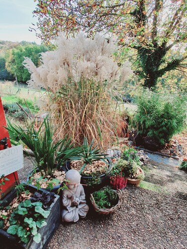 Ferienwohnung - Auszeit -