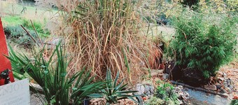 Ferienwohnung - Auszeit -