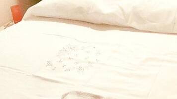 1 camera, Wi-Fi gratuito, lenzuola