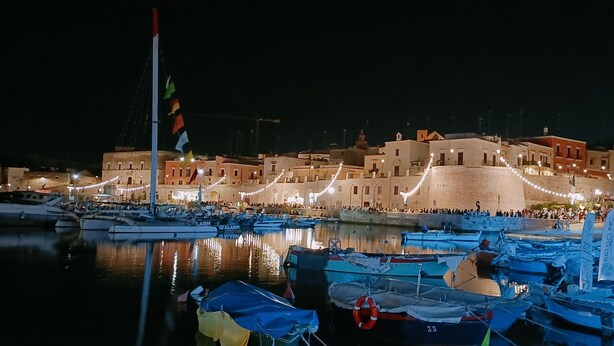 A harbor with boats docked, a crowd of people, and buildings in the background. - Mary's Niche (Bisceglie)