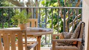 Una mesa de madera con una planta en maceta, un libro, un cojín estampado con diseño de cebra y una barandilla de metal con vistas a la vegetación.