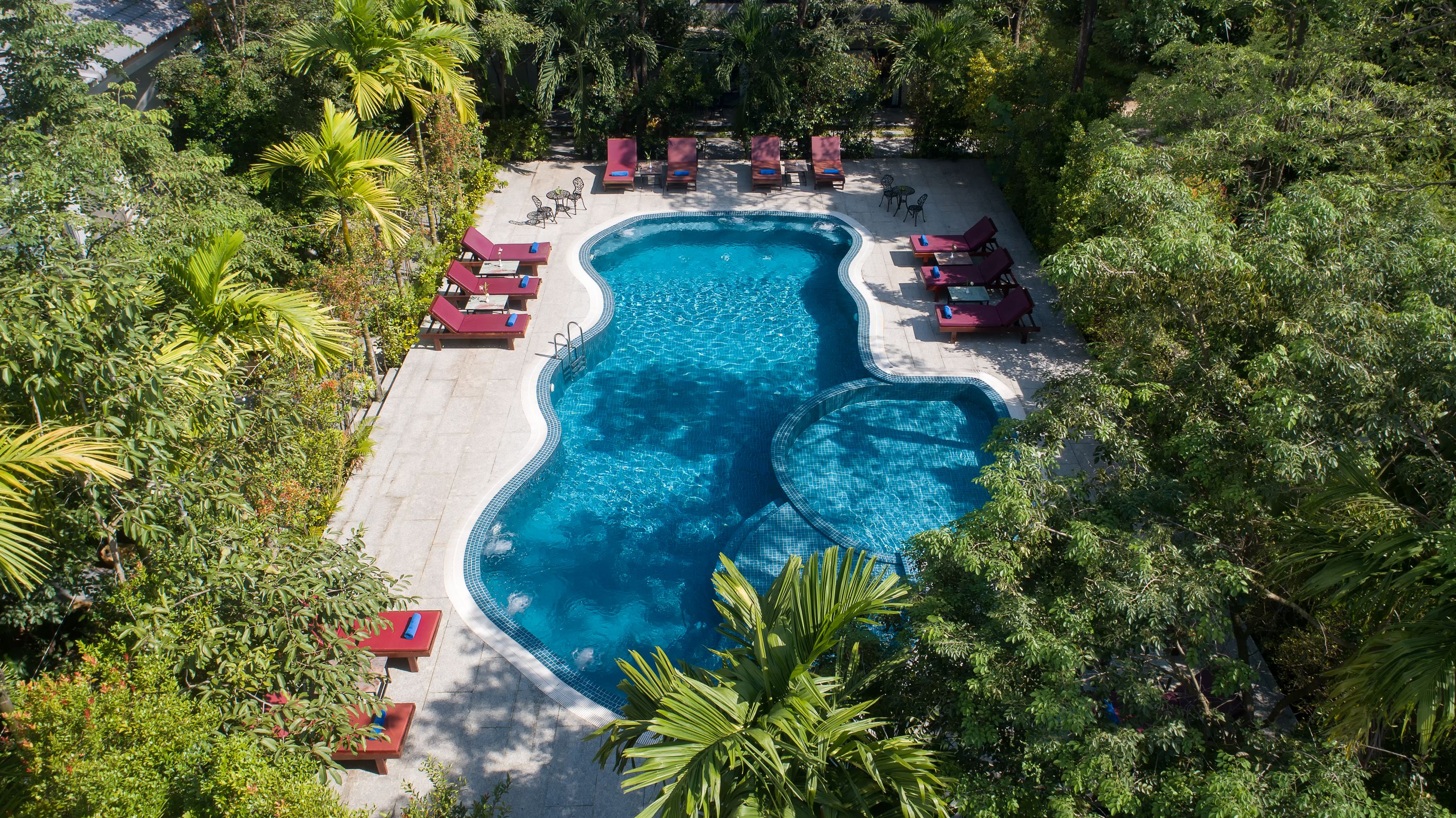An aerial view of a swimming pool surrounded by lounge chairs and palm trees.