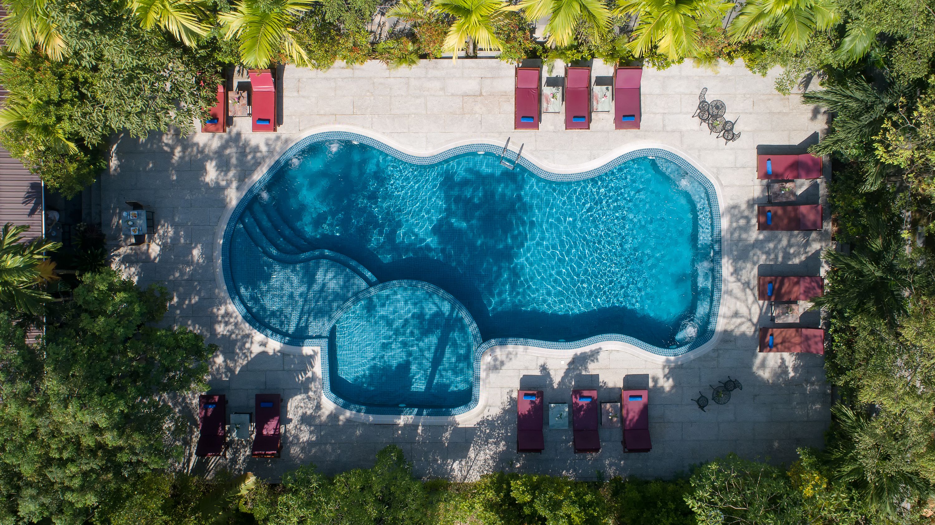 An aerial view of a swimming pool surrounded by lounge chairs and umbrellas, with a stone wall and greenery.
