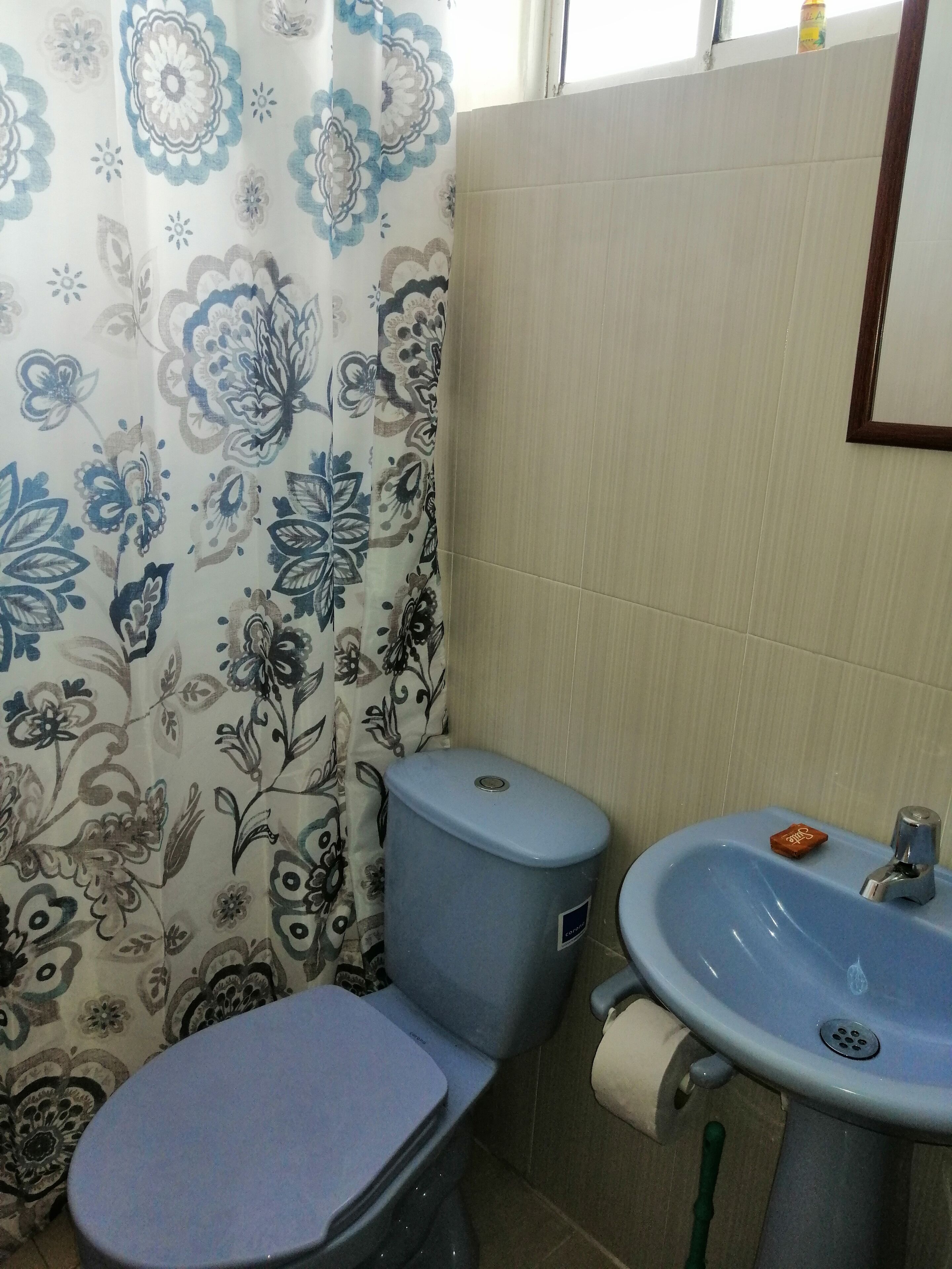 Ducha, toallas, jabón y papel higiénico