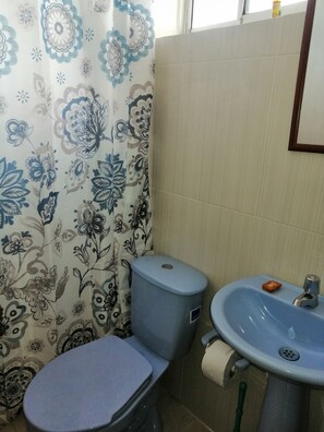 Ducha, toallas, jabón y papel higiénico