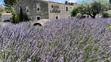 Terrein van de accommodatie