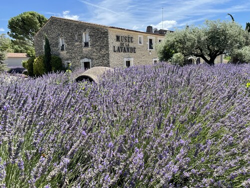 Lodge in a small private residence with swimming pool in a green setting 