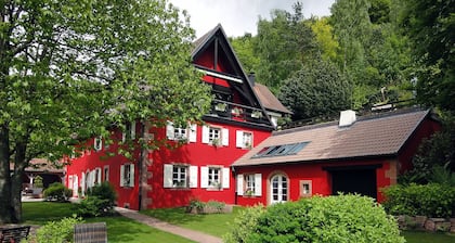 La Haute Grange -Le Cerisier for 2, garden and terrace- 5 mns from Kaysersberg