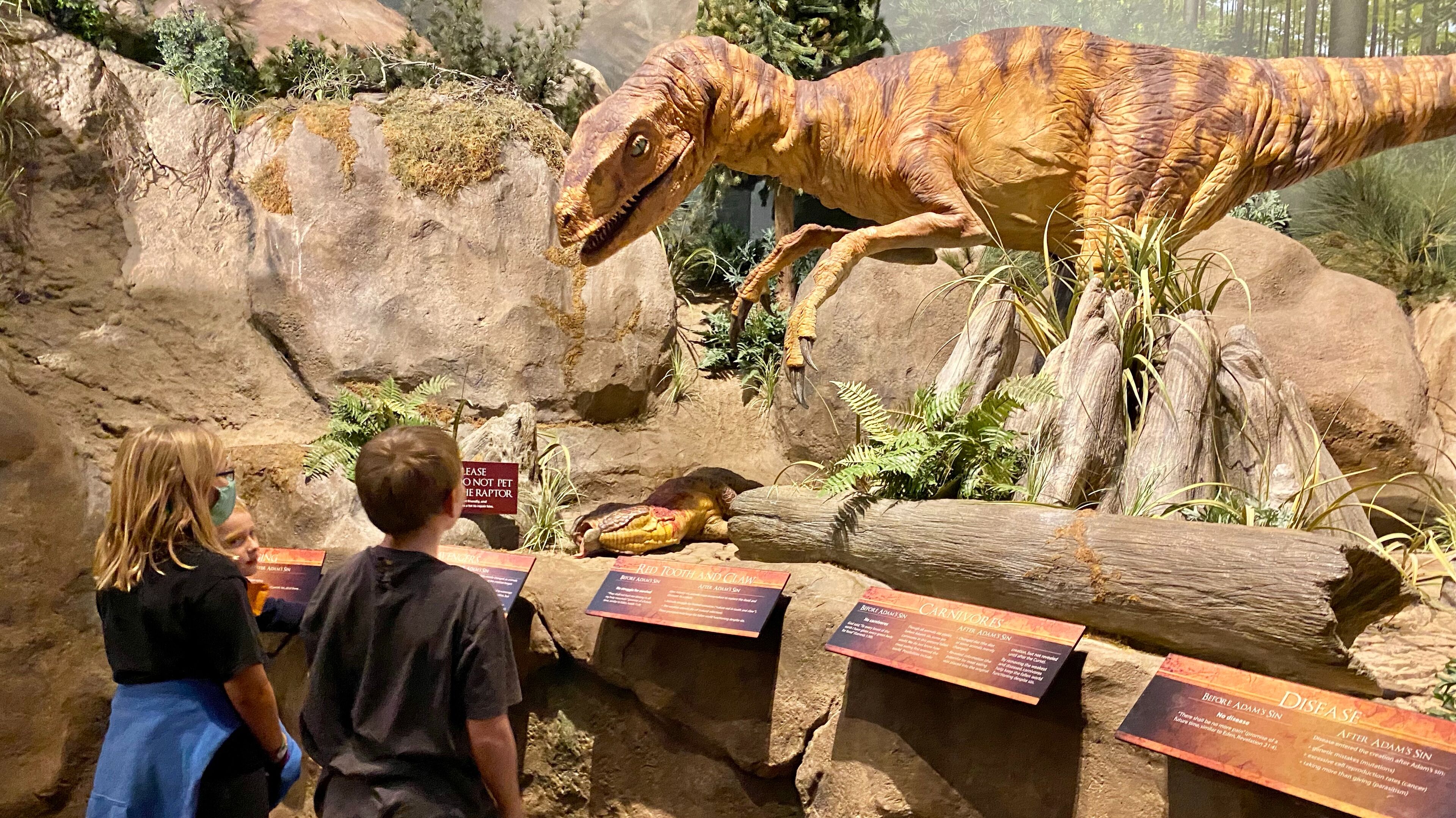 A dinosaur exhibit with a large model of a dinosaur, informational signs, and a log structure.