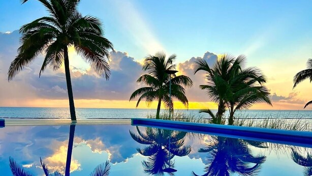 A serene beach scene with palm trees and a clear sky. - All Shades of Blu -Best Resort in Caye Caulker (Caye Caulker)
