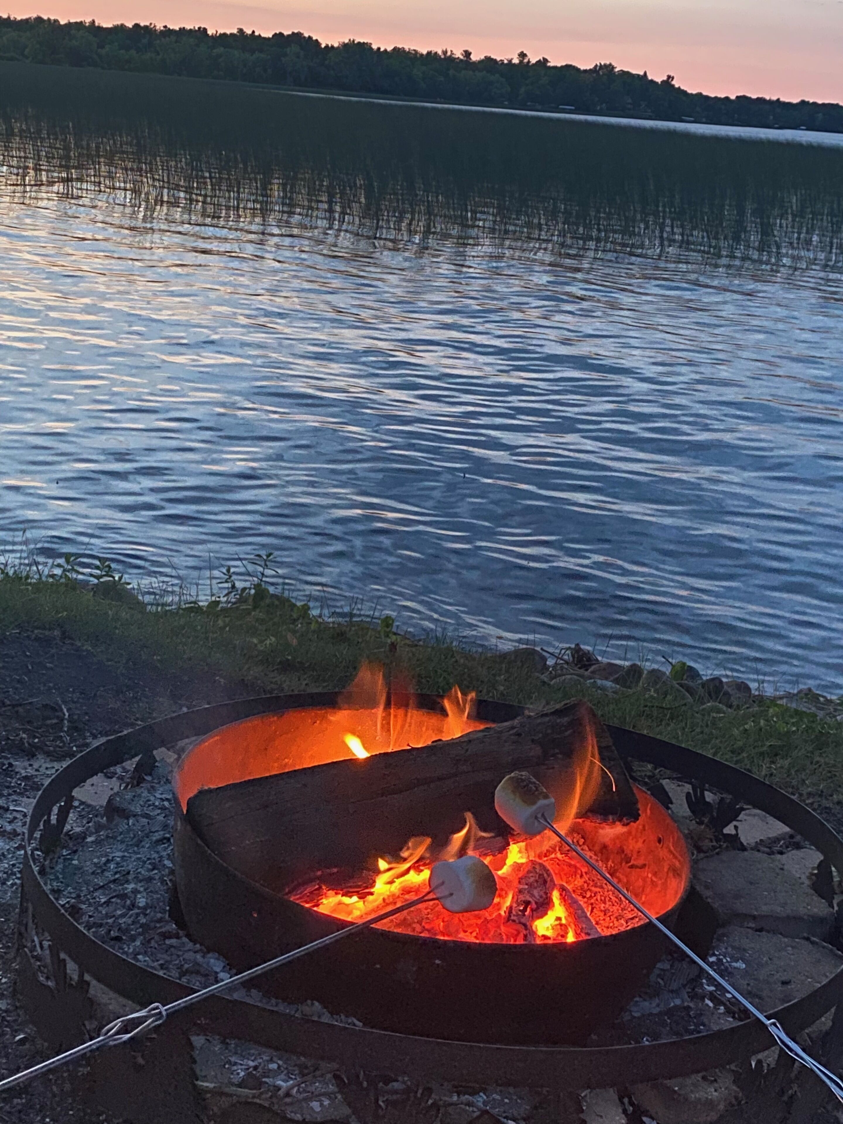 A campfire with marshmallows, surrounded by a metal fire pit, near a lake with calm water and a forested shoreline.