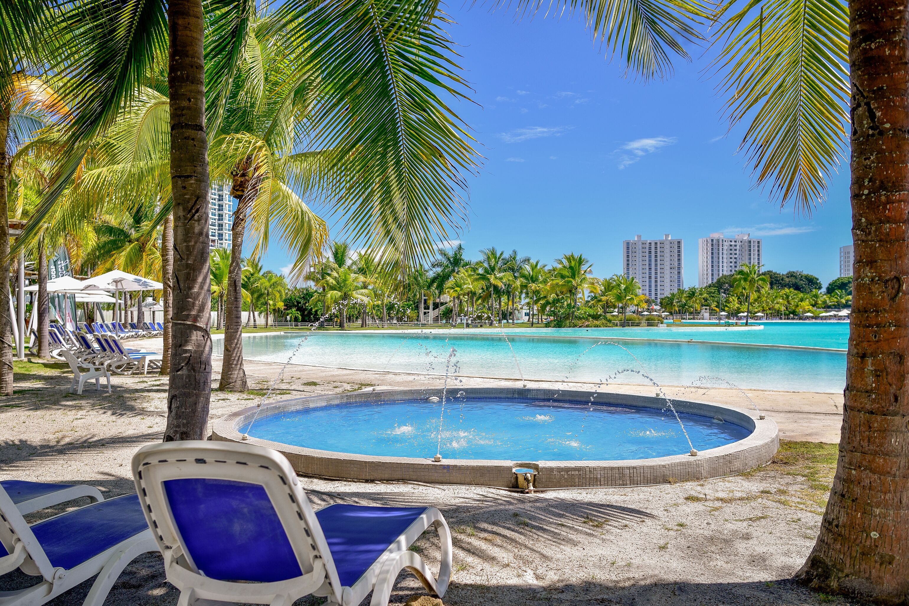 A pool area with lounge chairs, palm trees, and a view of the ocean and buildings in the background.