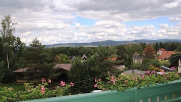 Vistas del balcón