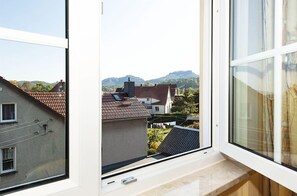 View from property - Villa Irene (Gohrisch)