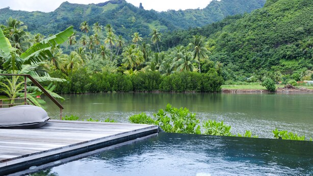 A wooden deck extending over a calm river with lush greenery and mountains in the background. - Amazing Waterfront Villa fully equipped w/ infinity pool (Moorea-Maiao)