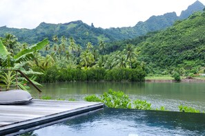 A wooden deck extending over a calm river with lush greenery and mountains in the background. - Amazing Waterfront Villa fully equipped w/ infinity pool (Moorea-Maiao)