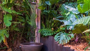 A garden with a large planter, a wooden structure, and various tropical plants.