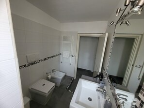 Regadera, secadora de cabello, bidet, toallas 