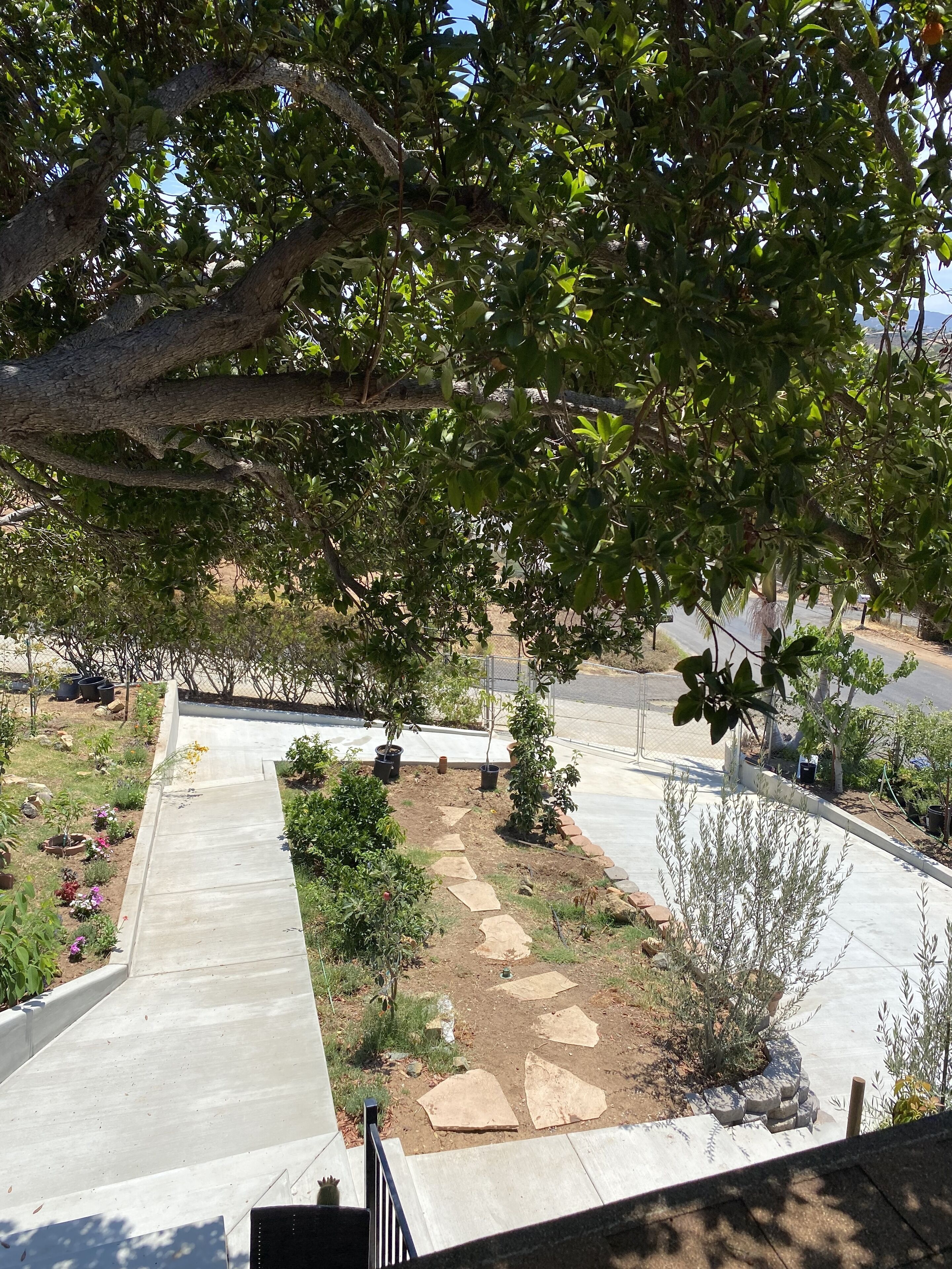 Un jardín con un camino de hormigón, diversas plantas y una cerca.