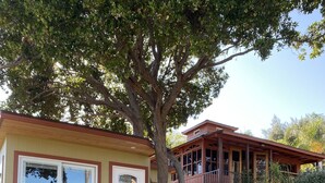 Une maison à deux étages avec un mur en pierre et un arbre dans le jardin.