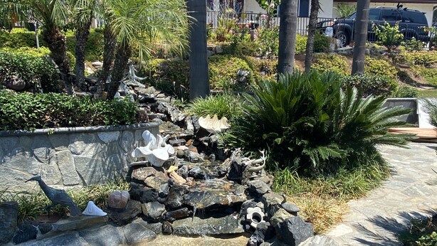 Un jardin aménagé avec un petit étang, des murs en pierre et des plantes tropicales.