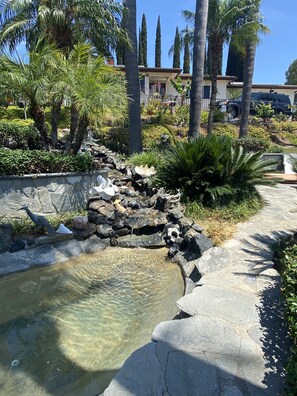 A landscaped garden with a small pond, stone walls, and tropical plants.