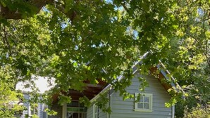 Una valla de madera rústica con una casa parcialmente oculta por la vegetación al fondo.