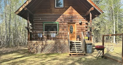 Cozy Alaskan themed cabin suitable for families or couples! King size bed, w/d