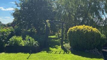 Área da propriedade