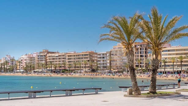 Une promenade en bord de mer, bordée de palmiers, avec des bancs et une mer d’un bleu limpide.
