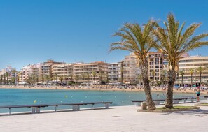 Un paseo marítimo frente a la playa, con palmeras, bancos y un mar azul cristalino.