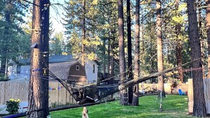 A hammock strung between trees in a backyard with a dog nearby. - Enjoy a Cottage near the lake 2bdr, Tahoe 2Bdr Postmasters Cottage (South Lake Tahoe)