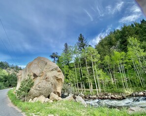 Eksteriør