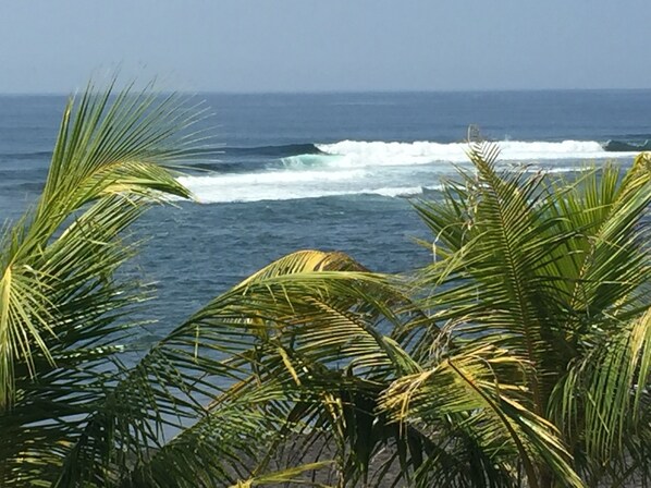 Vista del océano con olas y palmeras al frente.