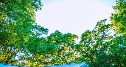 3 Bedroom Lake Home on Morris Lake