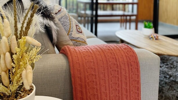 Una sala de estar moderna con un sofá gris, una manta roja y una planta decorativa.