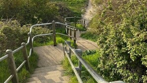 Un sendero que lleva a una playa con una pequeña construcción, rodeada de vegetación y con vistas al mar.