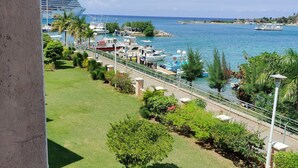A marina with boats and yachts, a grassy area with trees, and a clear view of the ocean.
