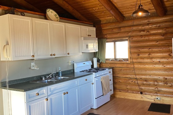 Frigorífic, microones, forn i placa de cuina