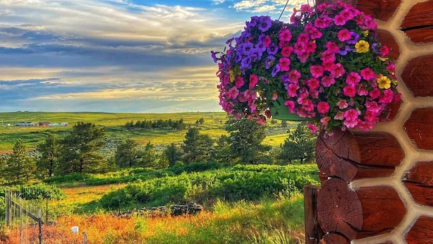 Una cesta colgante con flores rosadas y moradas, un muro de ladrillo y una vista de un paisaje verde con árboles y campos.